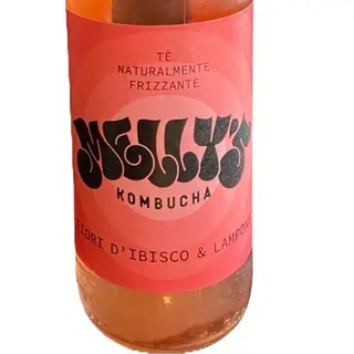 Kombucha Fiori d'Ibisco e Lamponi