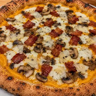 Bollettino
