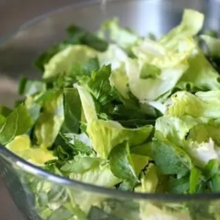 insalata verde