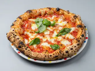 Crudo