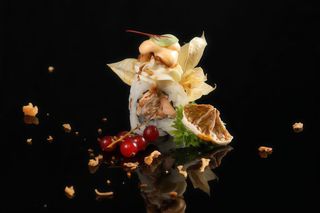 67. Spicy miura - 4 pezzi