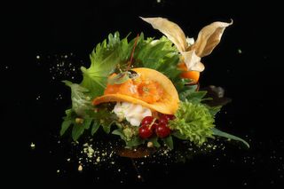 2 Chips salmone - 2 pezzi