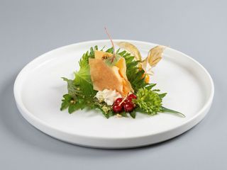 S1 Millefoglie - 2 pezzi