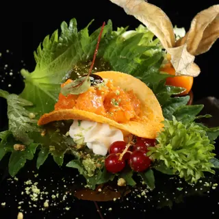 S4 Chips Salmone - 2 pezzi