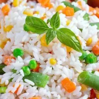 Veg Biryani