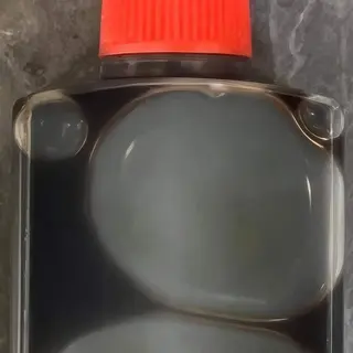 salsa soia