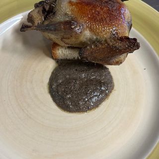 piccione all’etrusca