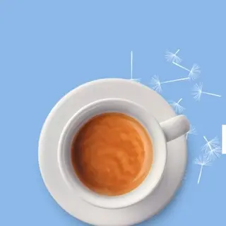 Espresso Decaffeinato