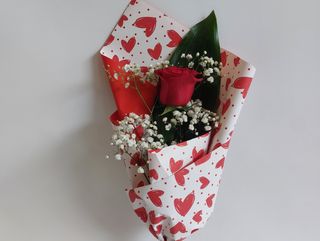 Rosa singola rossa love