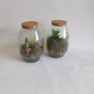 Terrarium