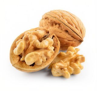 Noci