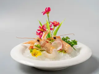 53.scampi emulsion 4pz
