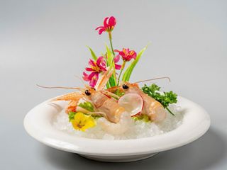 53.scampi emulsion 4pz