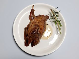 Piccione al forno 1/2