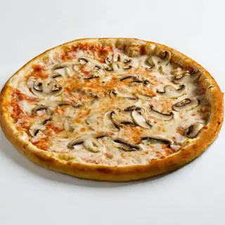 FUNGHI