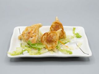 14 Ravioli di gamberetti e carne di maiale alla griglia - 4 pezzi