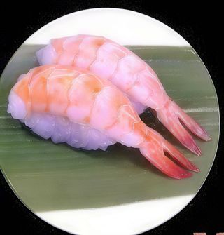 156 Nigiri ebi