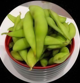 Edamame