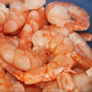 GAMBERETTO BOREALE COTTO GR 250