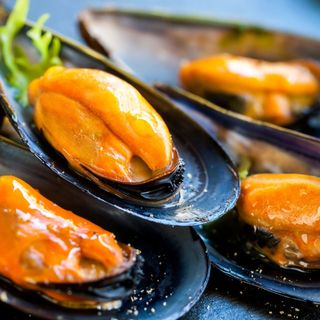 COZZA MEZZO GUSCIO GR 500