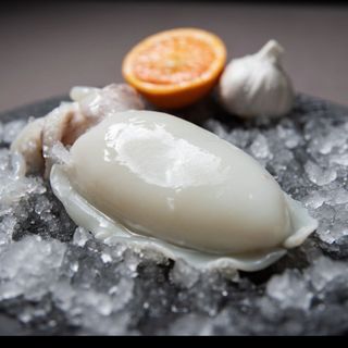 SEPPIA PULITA PICCOLA GR 500