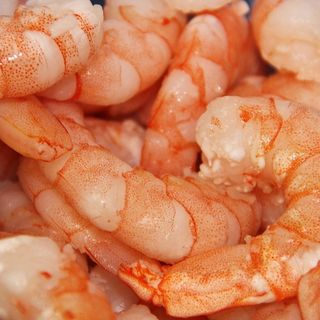 GAMBERETTO GRANDE INDOPACIFICO GR 300