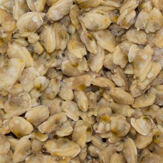 VONGOLA SGUSCIATA GR 200