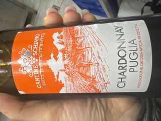 Bottiglia Vino bianco frizzante 75cl