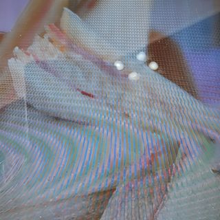 Tramezzino al tonno pomodoro e insalata