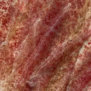 La Yuki - Guanciale di WAGYU