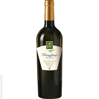 Falanghina Tenimenti Amjnei