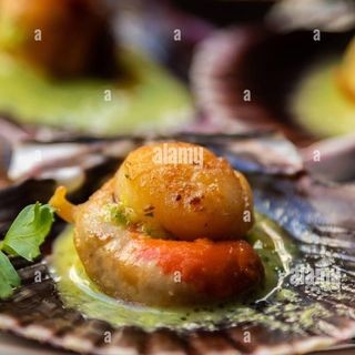 362..VIEIRAS ALLA GRIGLIA