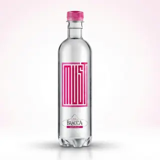 Acqua Minerale Naturale Bracca 50cl