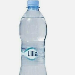 Acqua naturale 0,50