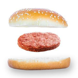 Panino con Hamburger di cavallo