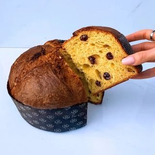 Panettone gianduia Valrhona e amarene 