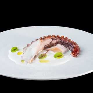 POLPO ALLA GRIGLIA 002