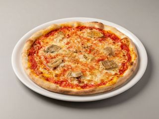 Funghi porcini normale