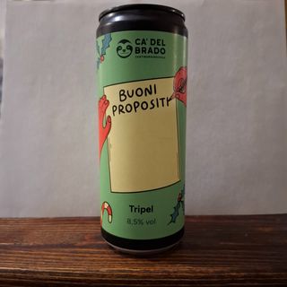 Buoni Propositi di Ca' del Brado lattina 33 cl