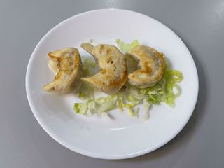 17. Gyoza piastra