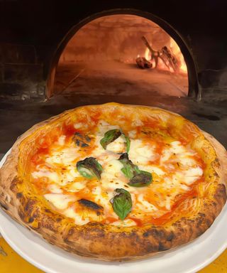 Fiori di zucca e acciughe