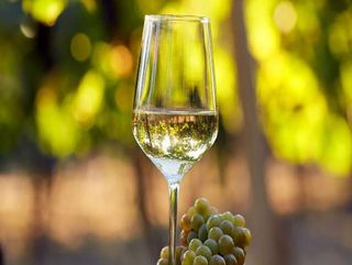 Pinot Grigio 37.5 cl