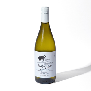 Vino Bianco Biologico