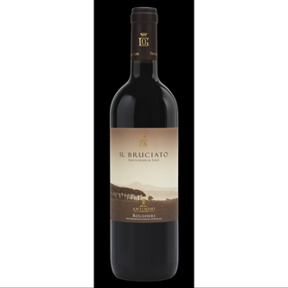 Bolgheri il Bruciato Antinori Toscana