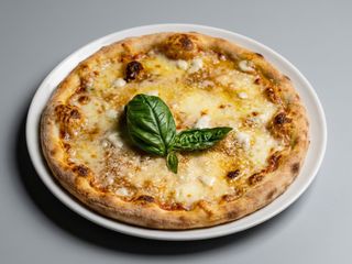 GIALLA MARGHERITA