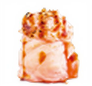 60 Gunkan Sake scottato