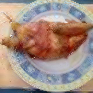 1/2 Pollo allo spiedo