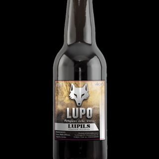 Lupils