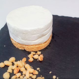 Tortino cheesecake bianca con gianduia 