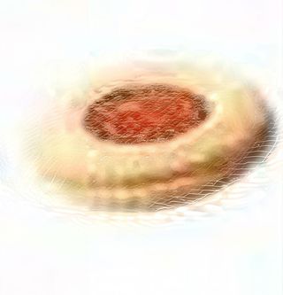 Biscotto occhio di bue